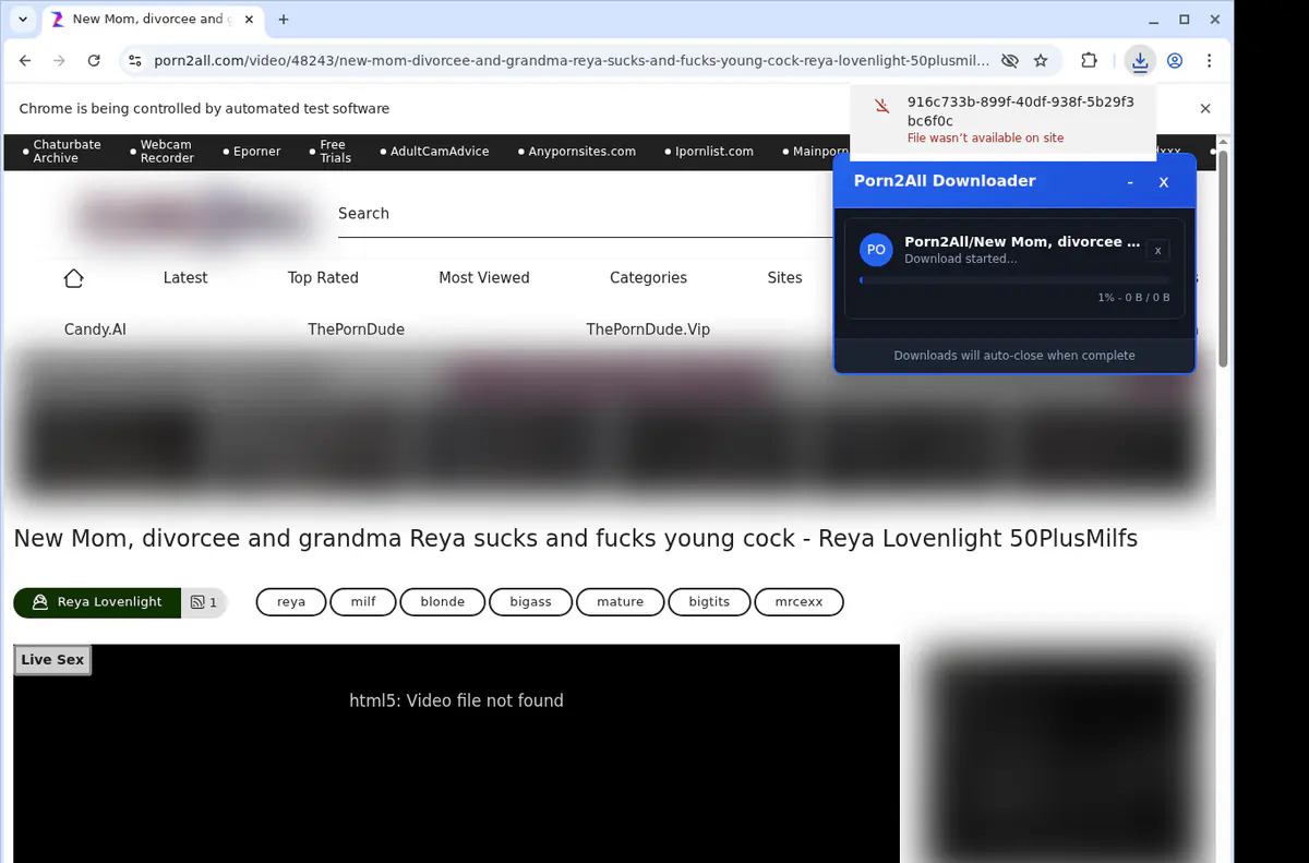 Porn 2 All Video Downloader screenshot 2