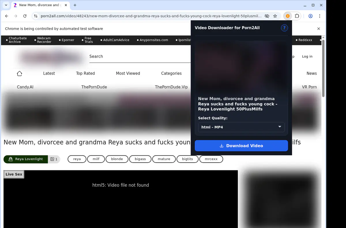 Porn 2 All Video Downloader screenshot 3